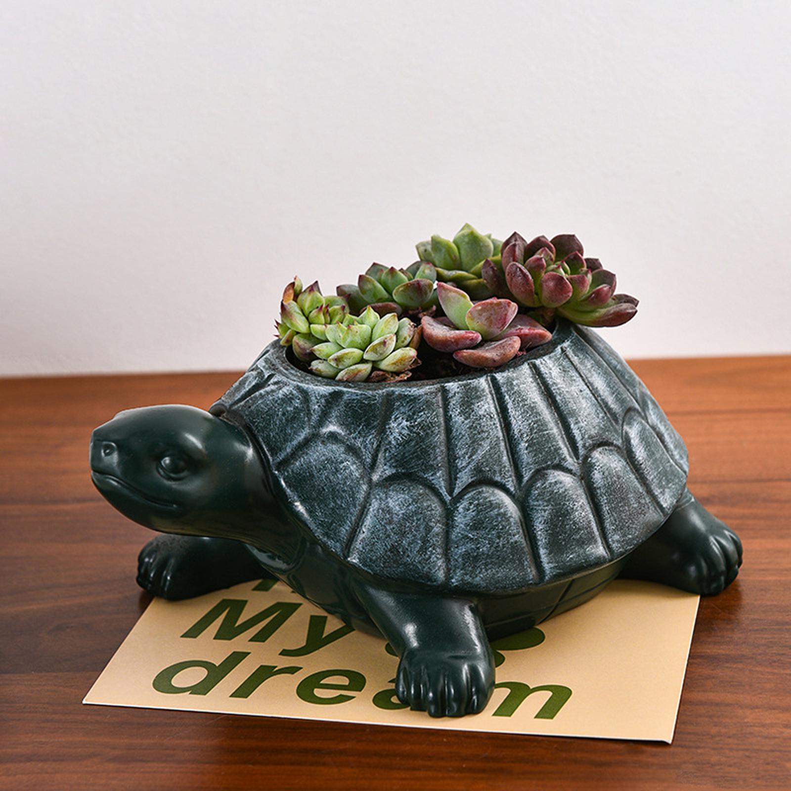 Bonsai Garden Cafe - Pot de fleurs tortue, ornement décoratif