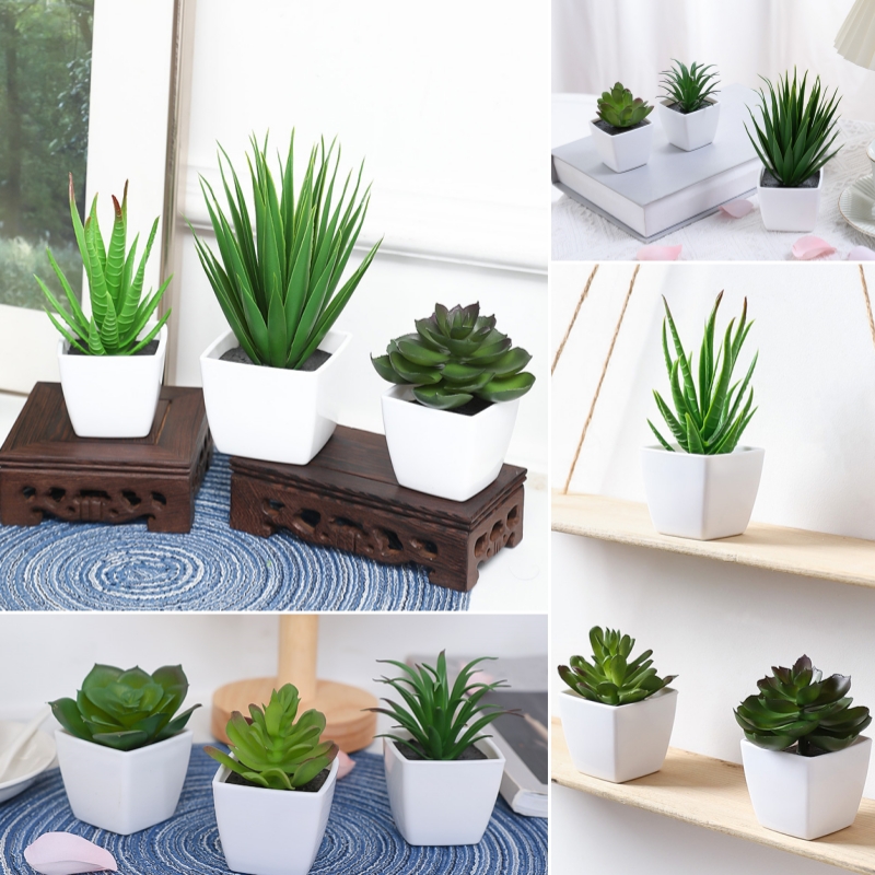 Bonsai Garden Kit - (Un ensemble de 3 pièces) de