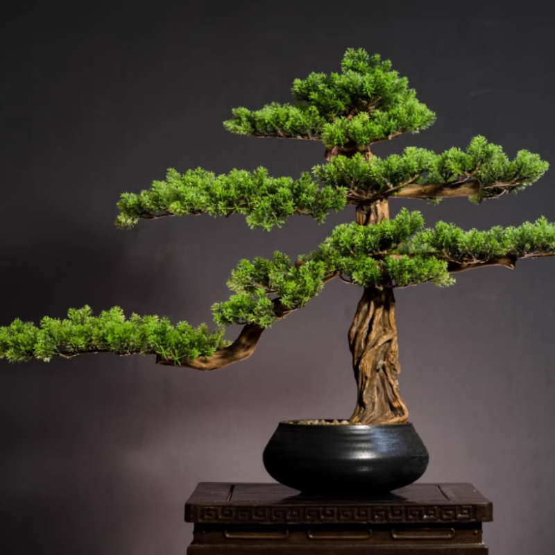 Bonsai Garden Entrance - Ornements de pin de bienvenue pour