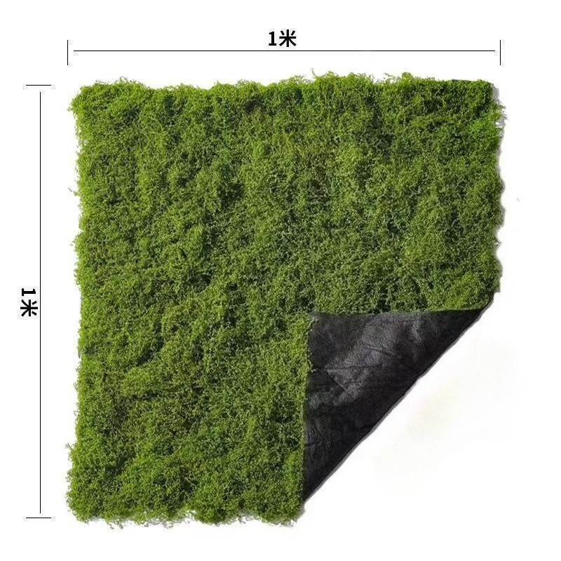 Décoration de sol en mousse si - Bonsai Garden Layout avis et prix