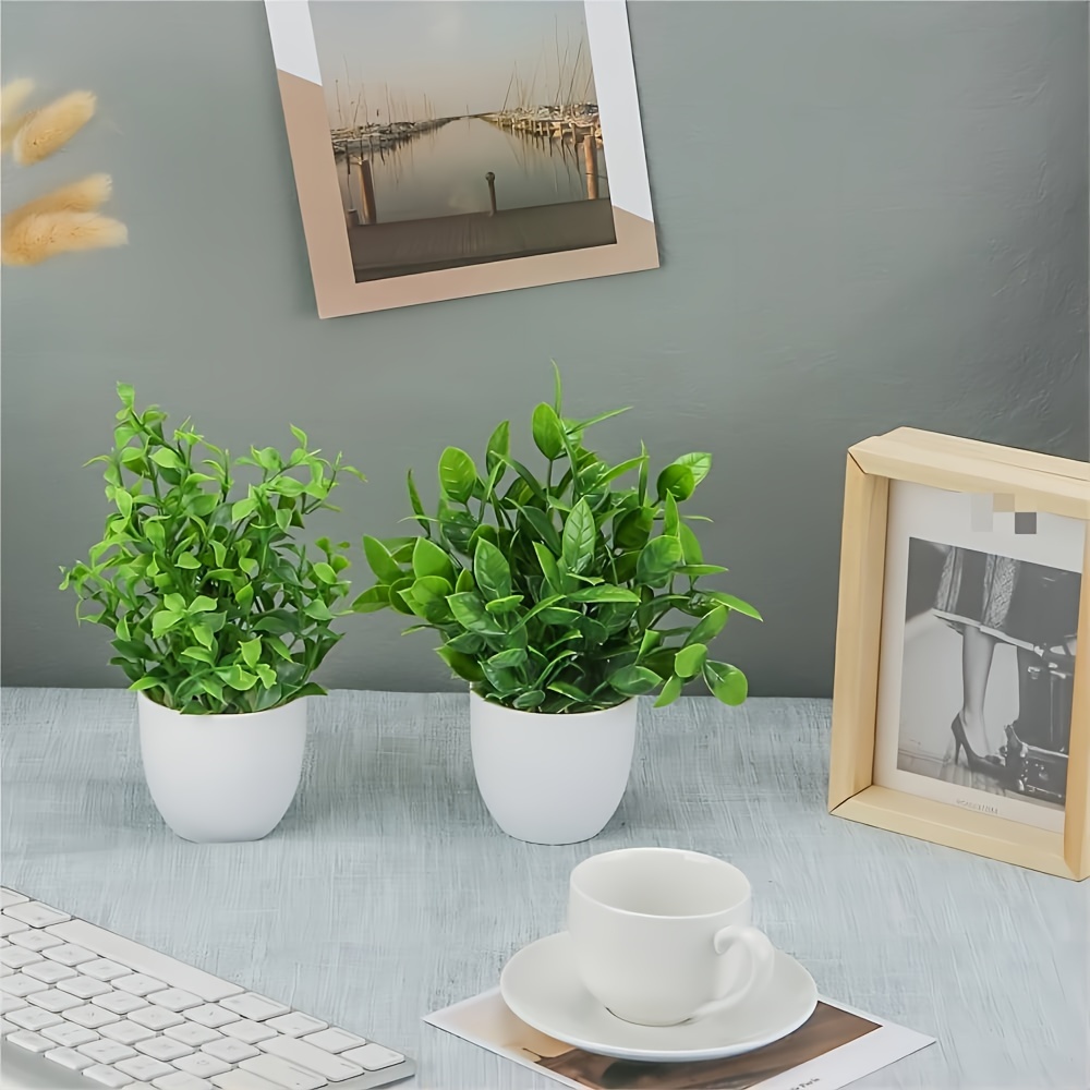 4 mini plantes artificielles e - Bonsai Garden Kit avis et prix