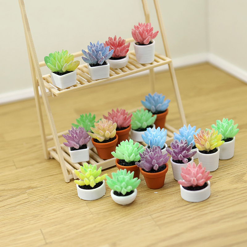 Mini Bonsaïs Artificiels Succu - Bonsai Garden Layout avis et prix