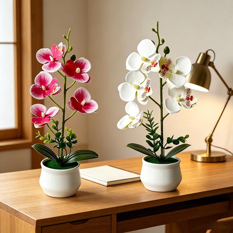 5 plantes artificielles en pot - Bonsai Garden Layout avis et prix