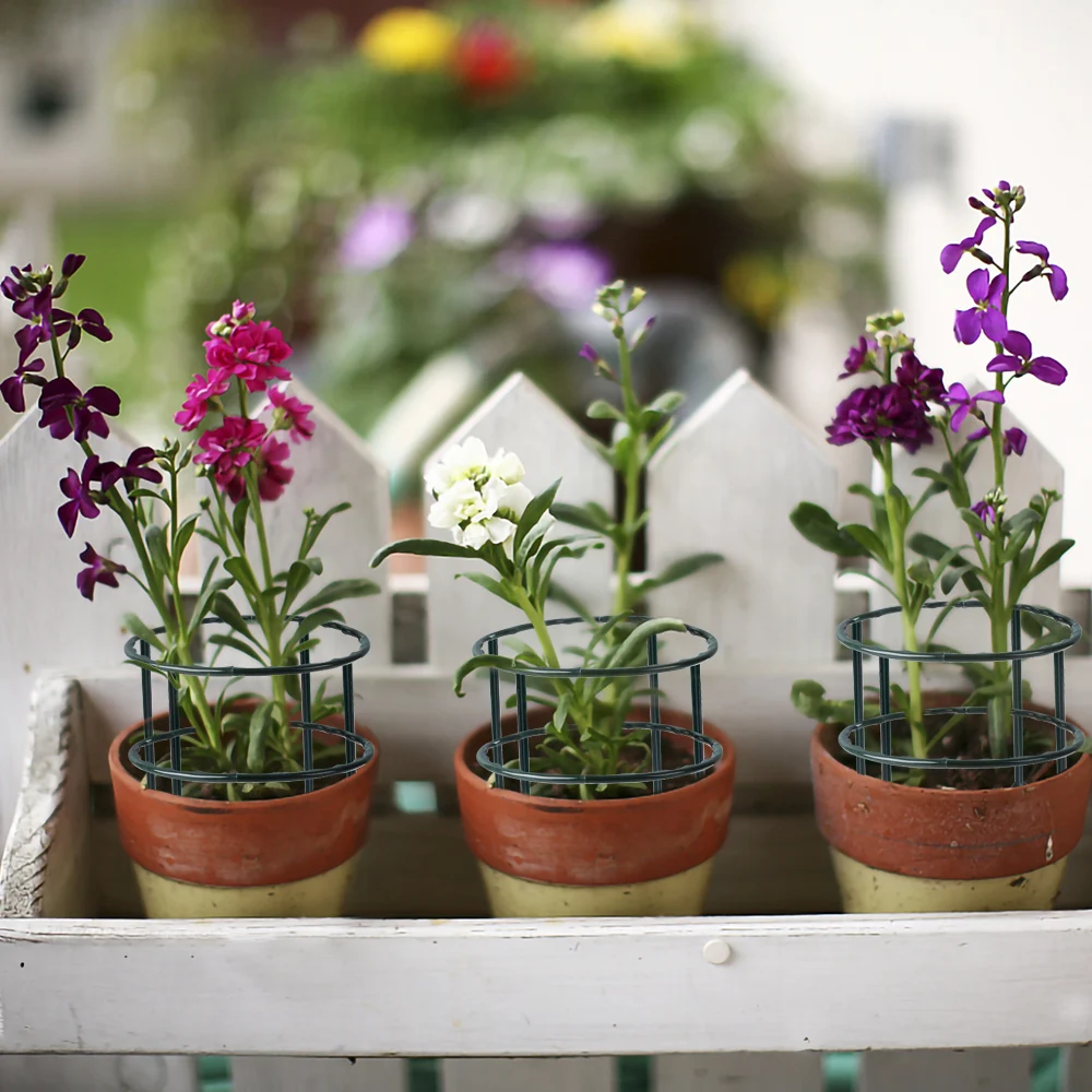 Support de plante de jardin en - Bonsai Garden House avis et prix