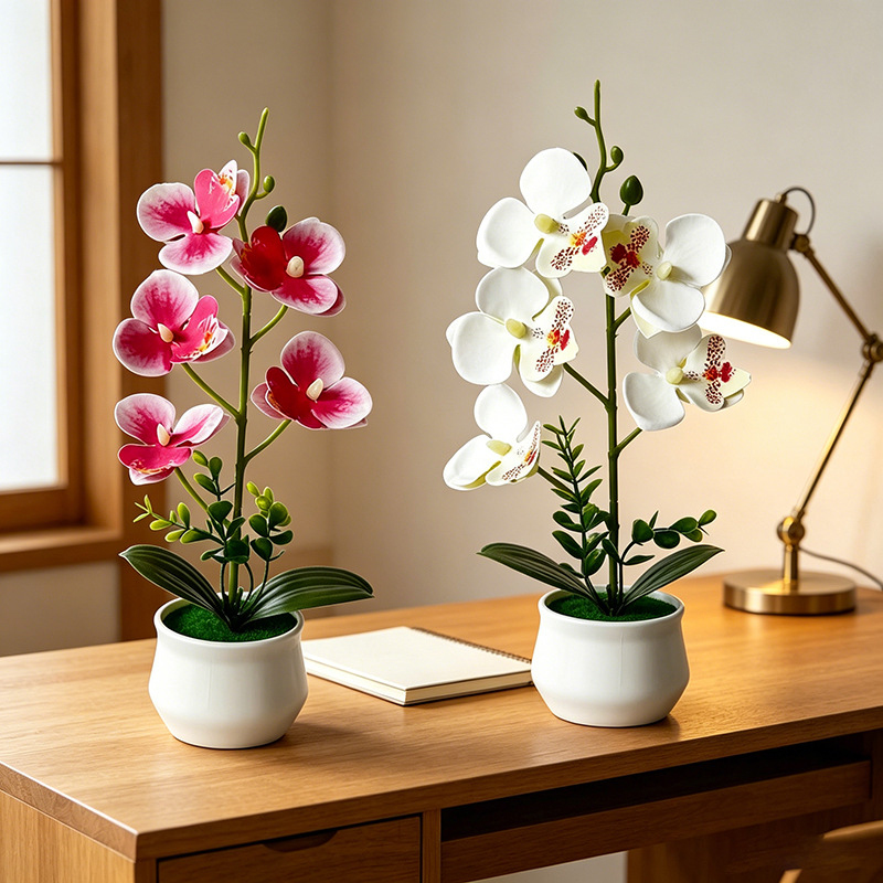 5 orchidées papillon artificie - Bonsai Garden Layout avis et prix