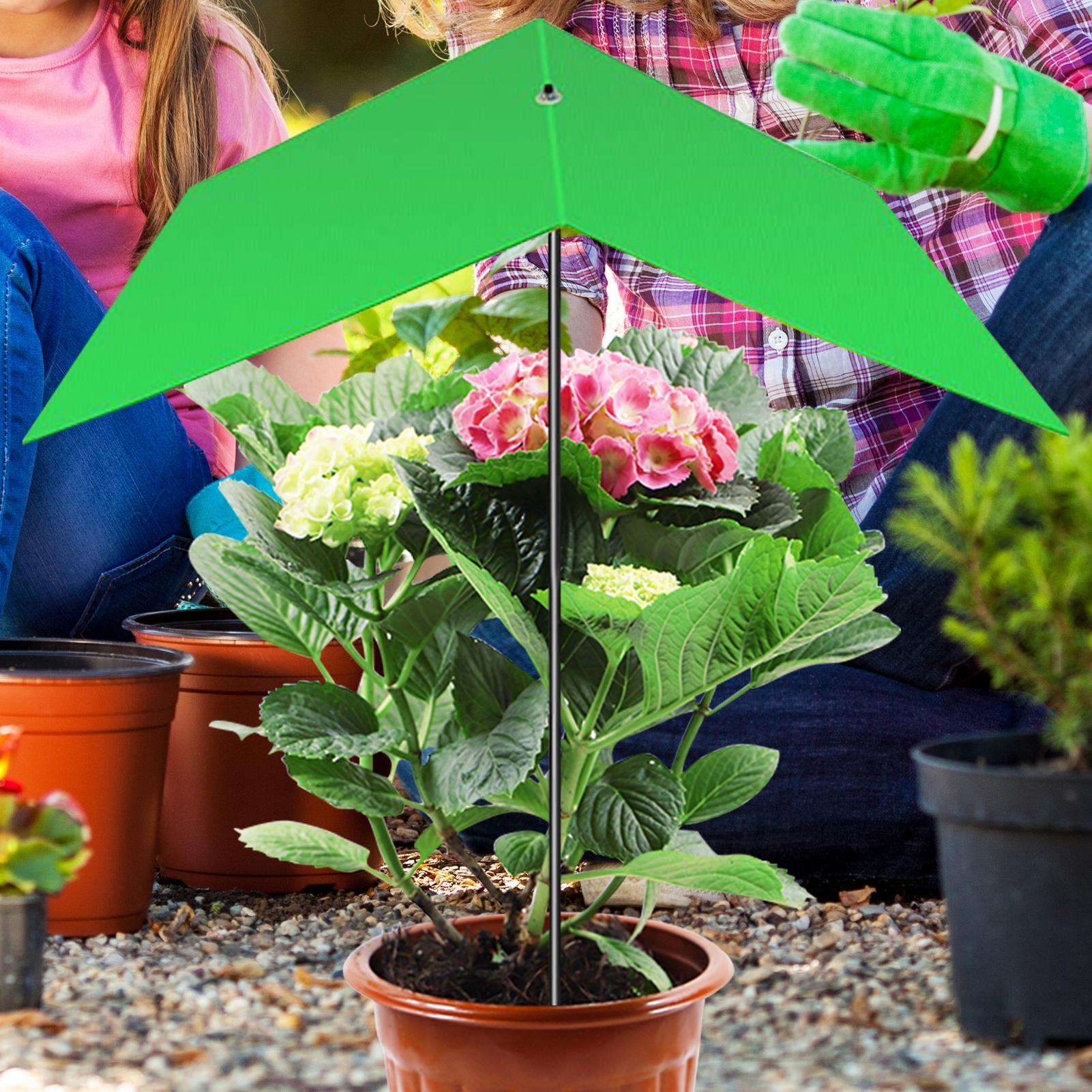 Parasol pour plantes anti-UV,  - Bonsai Garden Cafe avis et prix