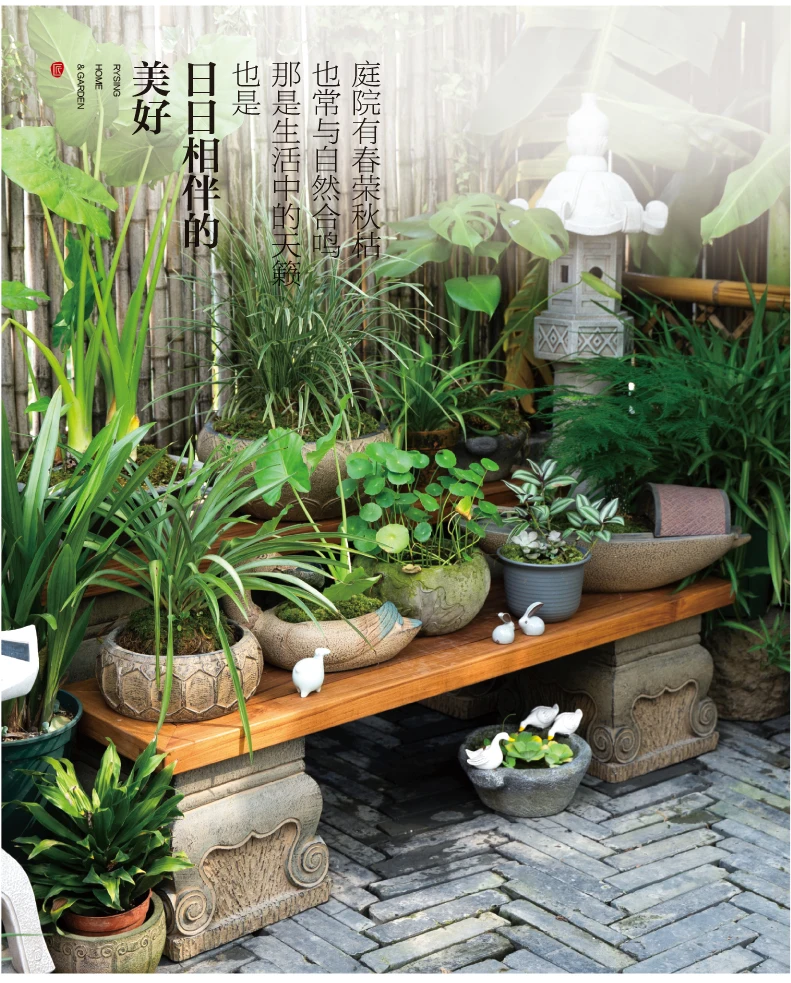 Disposition de jardin de terra - Bonsai Garden Layout avis et prix
