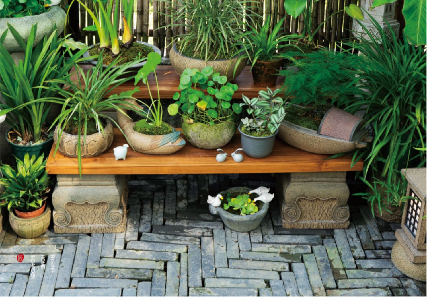 Disposition de jardin de terra - Bonsai Garden Layout avis et prix
