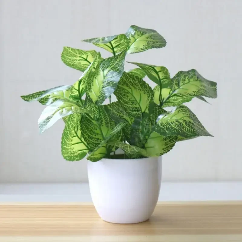 Plantes artificielles bonsaï f - Bonsai Garden Kit avis et prix