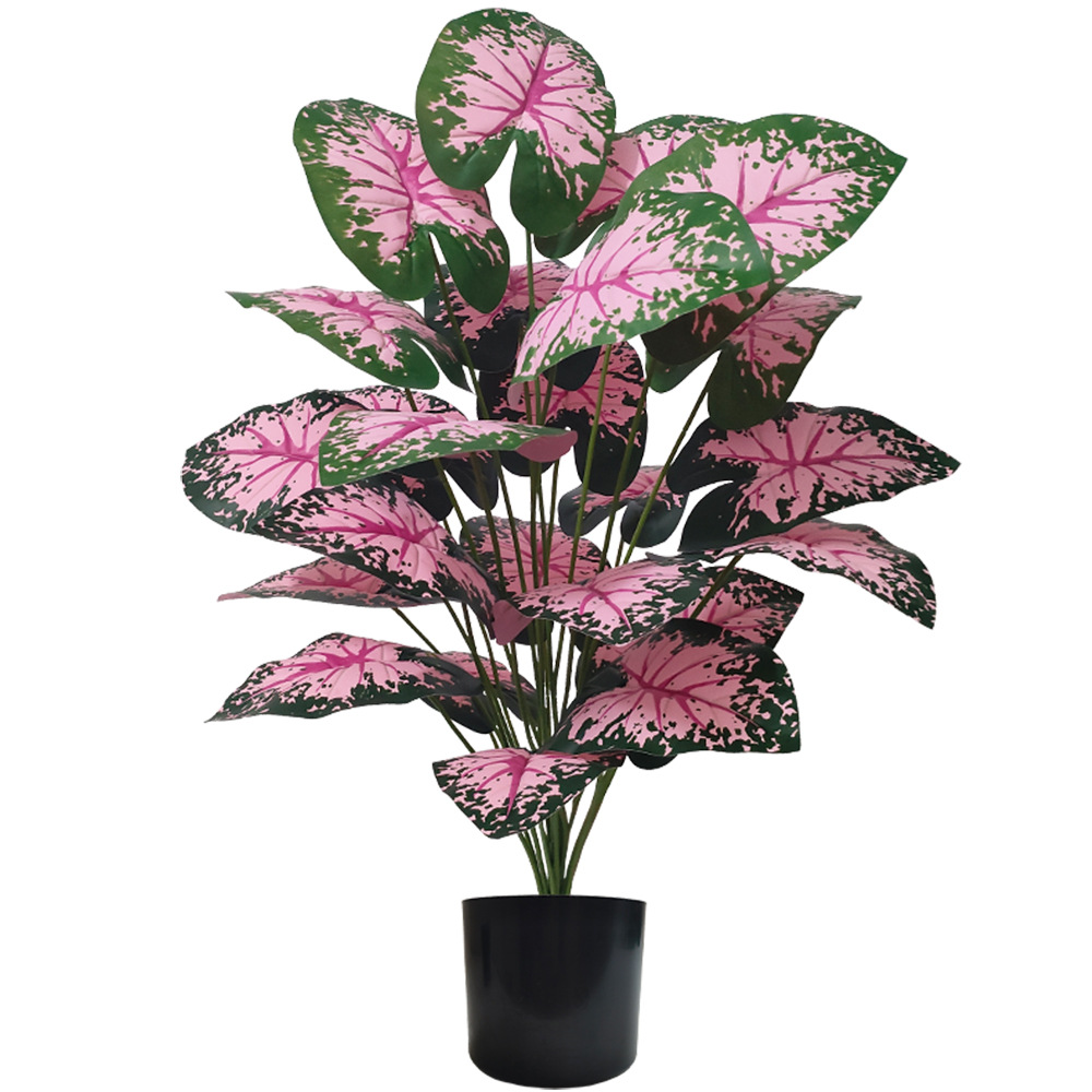 Plantes artificielles en pot d - Bonsai Garden Kit avis et prix
