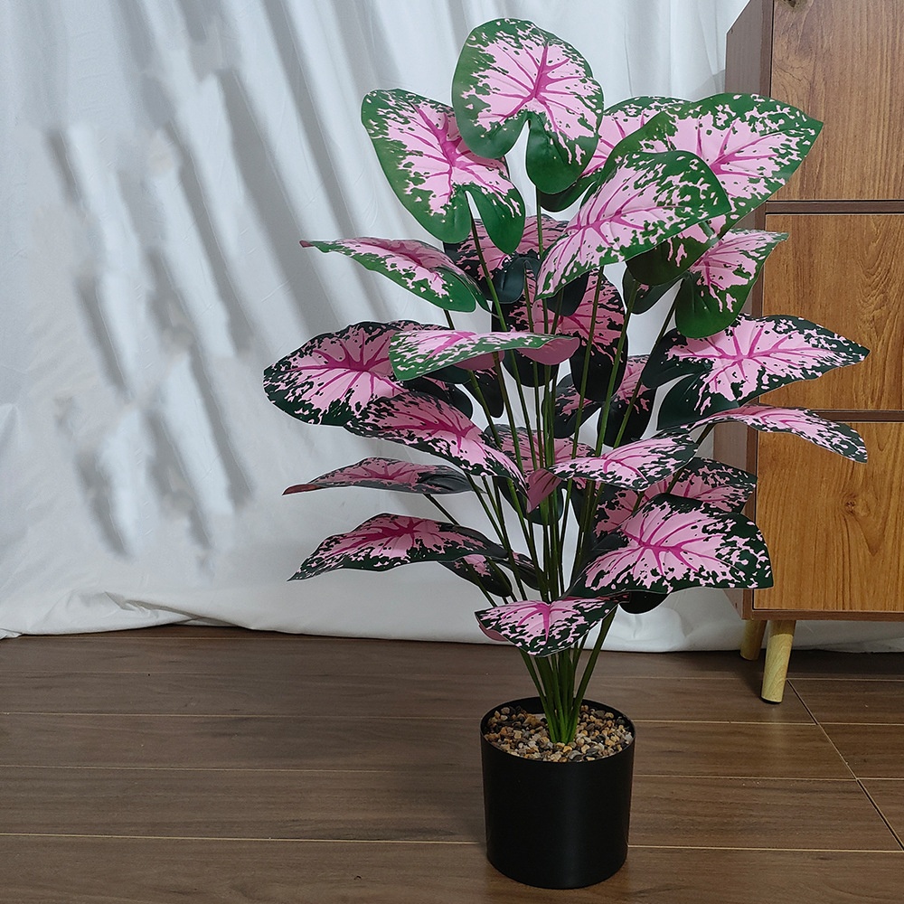 Plantes artificielles en pot d - Bonsai Garden Kit avis et prix