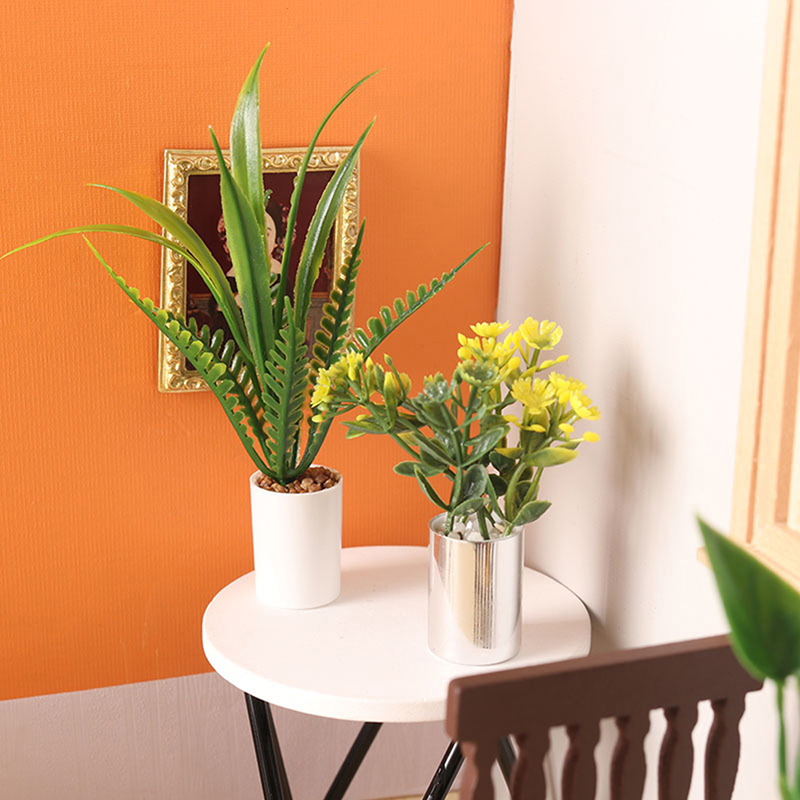 Nouvelle Offre : Plante en Pot - Bonsai Garden House avis et prix