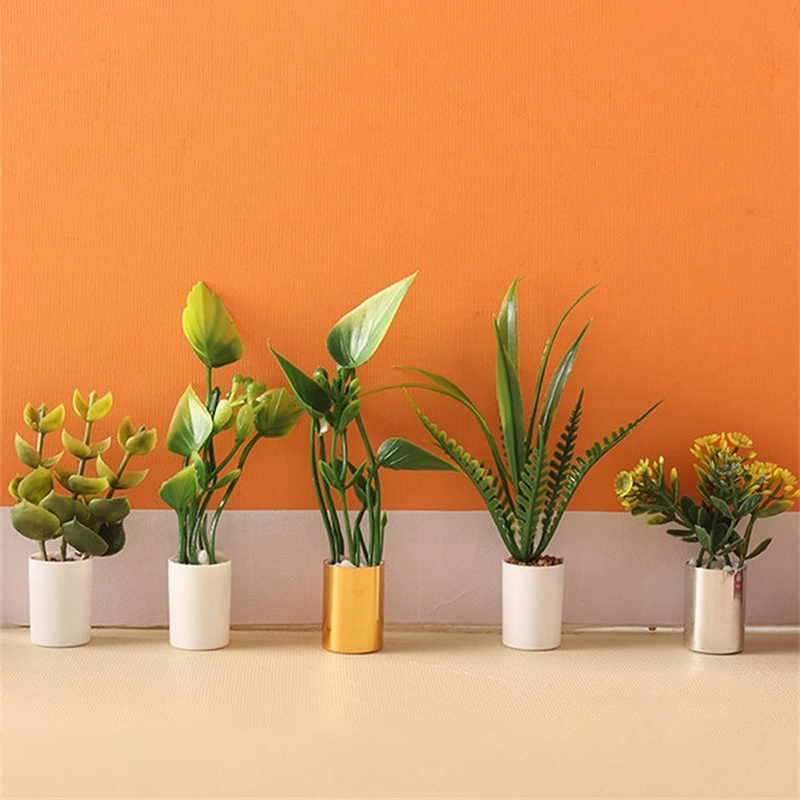 Nouvelle Offre : Plante en Pot - Bonsai Garden House avis et prix