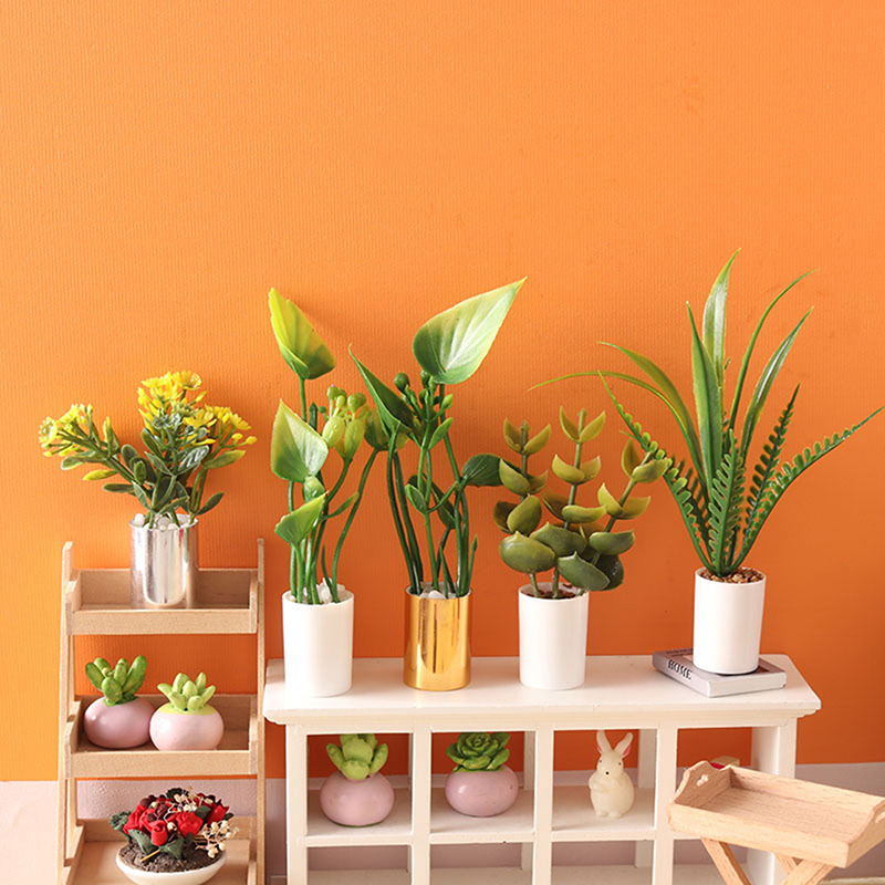 Nouvelle Offre : Plante en Pot - Bonsai Garden House avis et prix