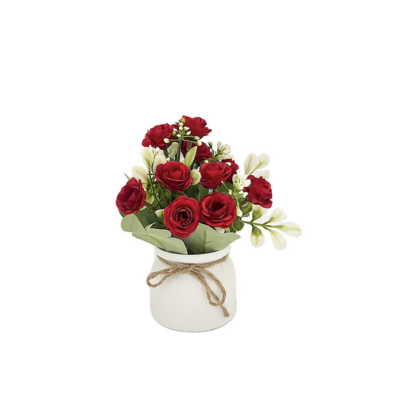Petite jardinière en corde de  - Bonsai Garden Kit avis et prix