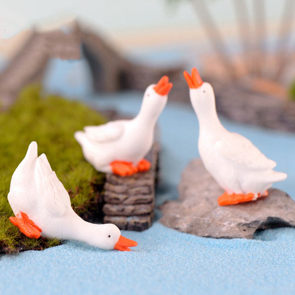 Accessoires de décoration de j - Bonsai Garden Kit avis et prix